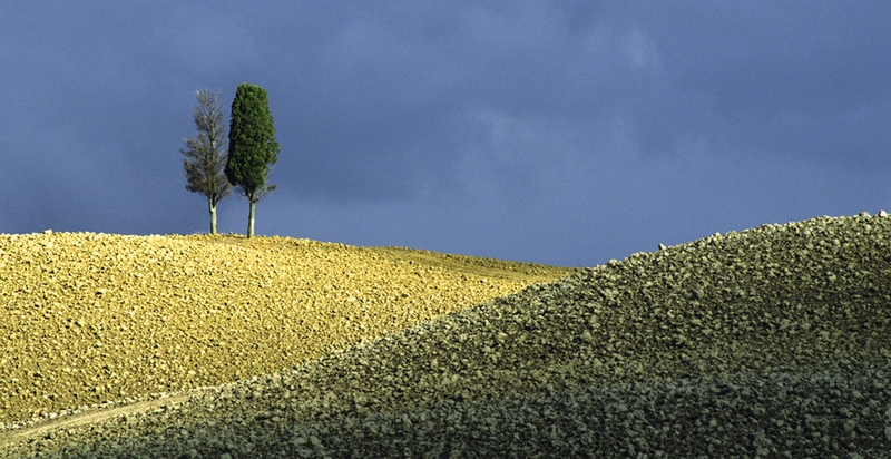 314 - AUTUMN LANDSCAPE - JONES GILLIAN - united kingdom.jpg
